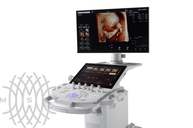GE Voluson Performance 16 УЗИ аппарат
