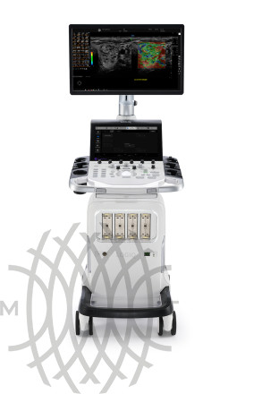 GE Logiq Totus аппарат УЗИ