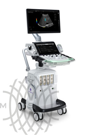 GE Logiq Totus аппарат УЗИ