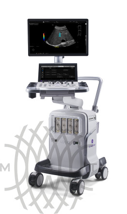 GE Logiq Totus аппарат УЗИ